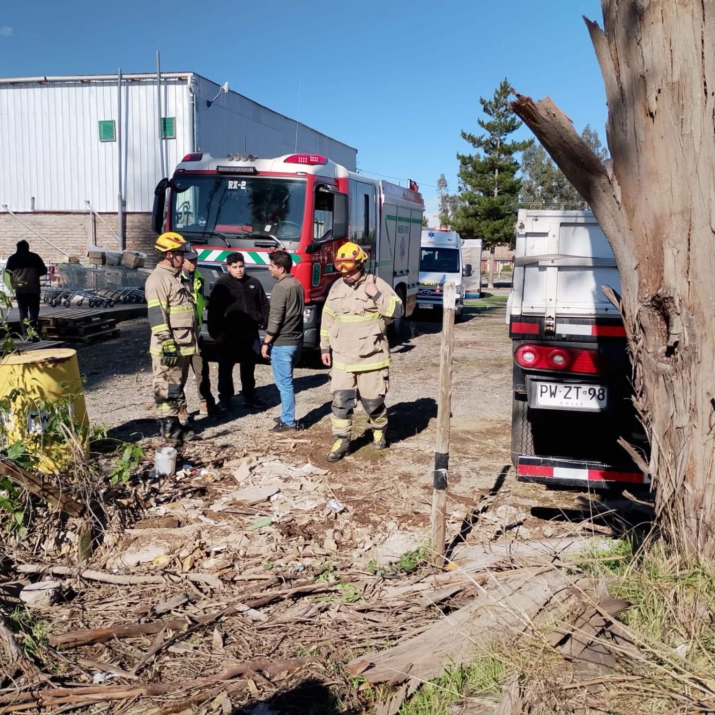 Tragedia en Palmilla: Hombre fallece tras caída de árbol mientras realizaba tala en sector Pupilla img_0234.jpg